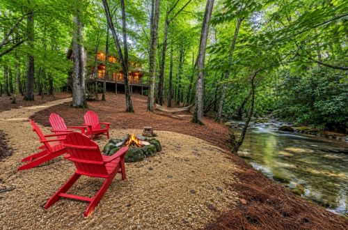 Wild Forest Lodge