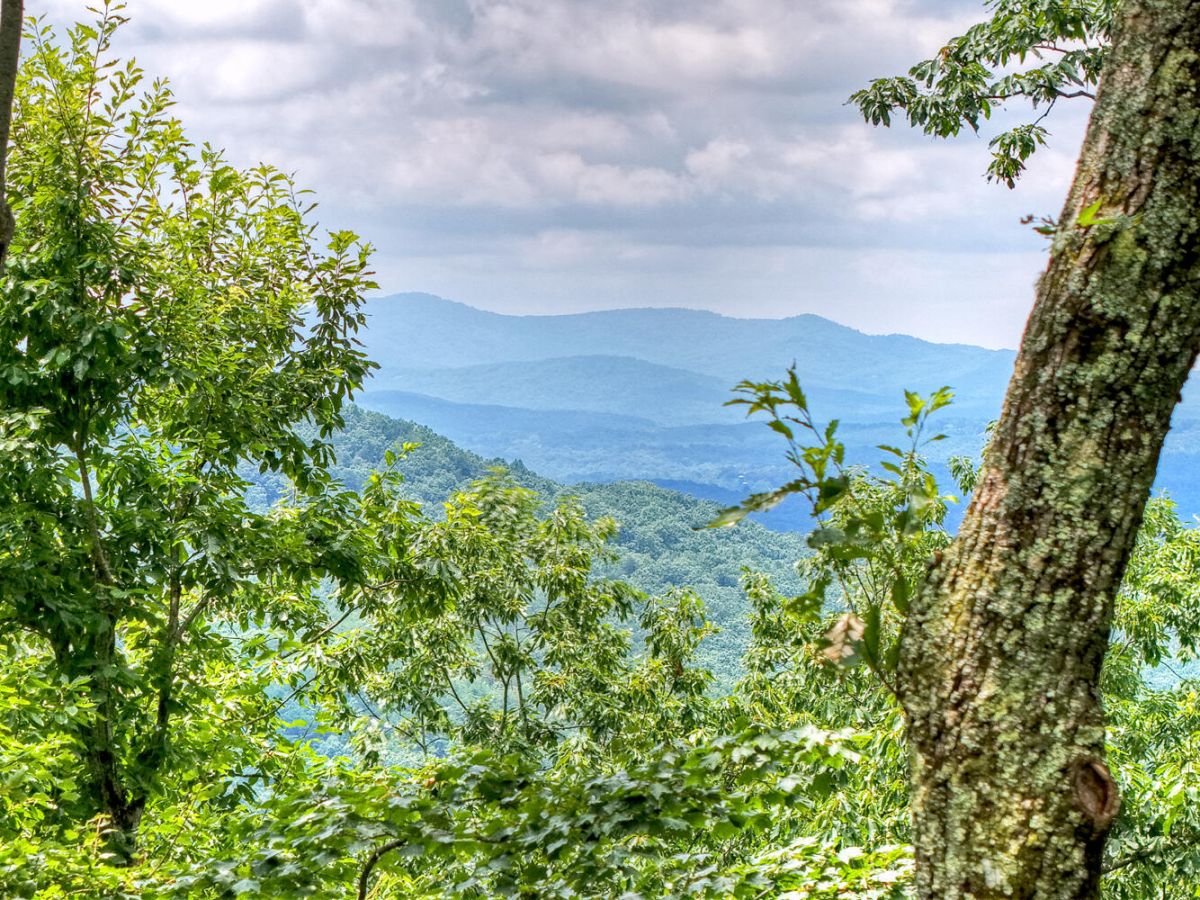 Stardust Ridge | Ellijay, GA | Morning Breeze Cabin Rentals