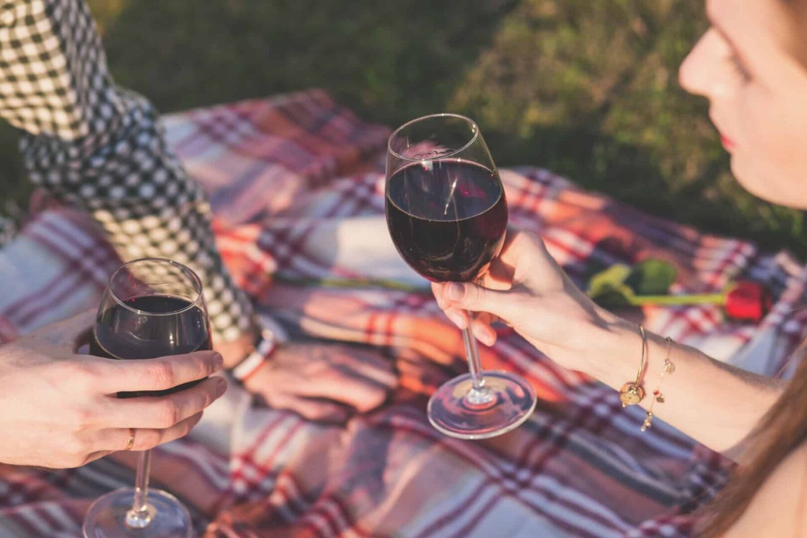 North Georgia picnic